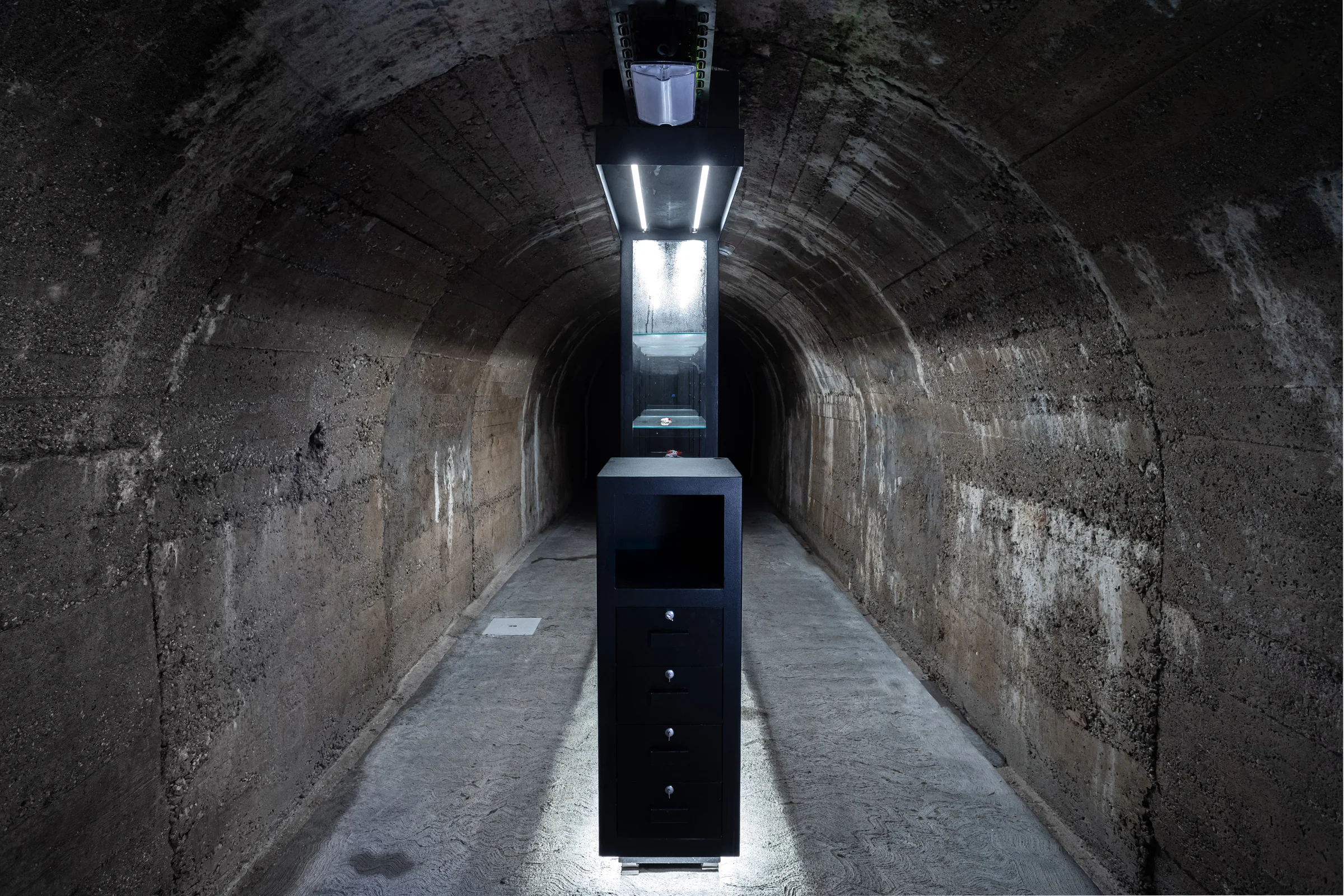 Rovi pod starim Kranjem — — slika 5